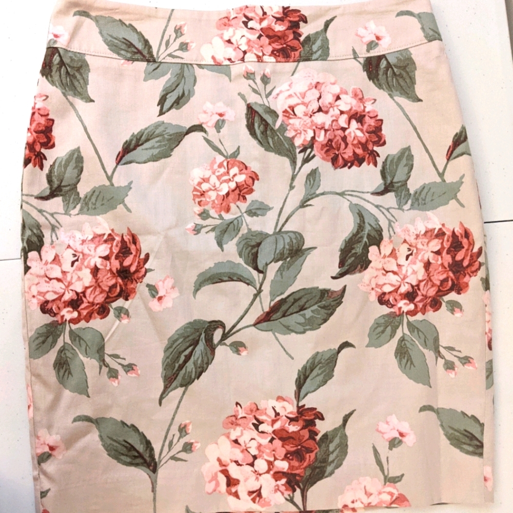 LOFT Skirt